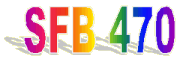 [SFB Logo]