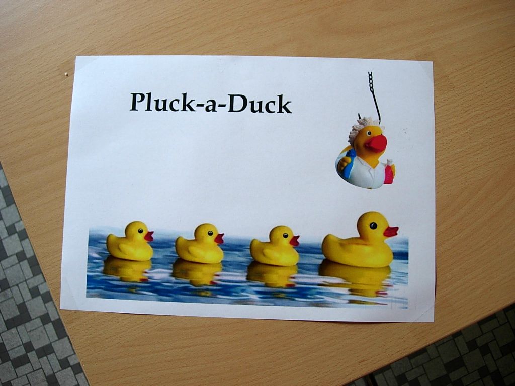 PluckaDuck