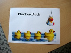 PluckaDuck