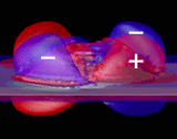 Piezoelectric Potential