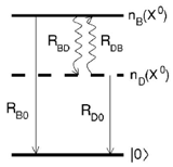 Rate Equations