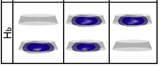 Hole states of a QDM