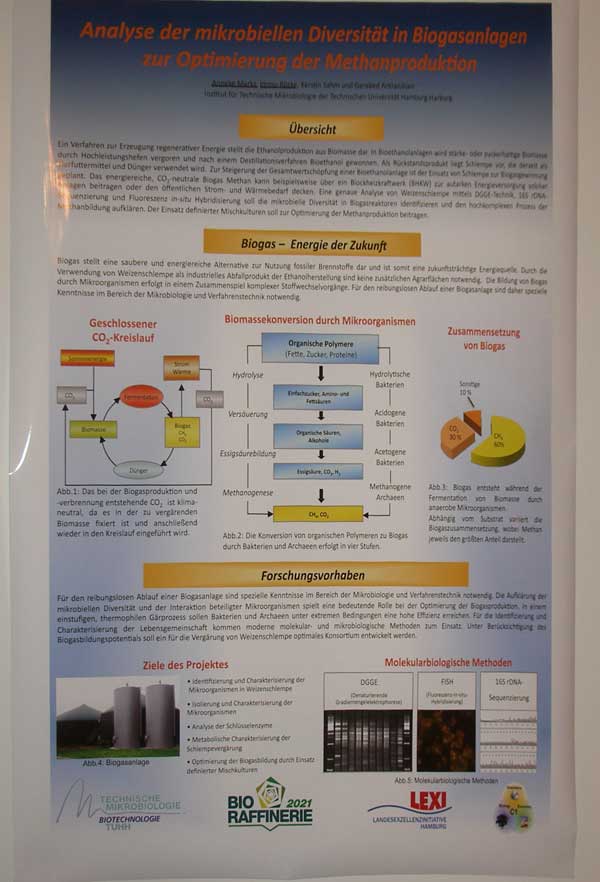 The Best Poster