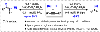 Guojiao hydrosilylation article