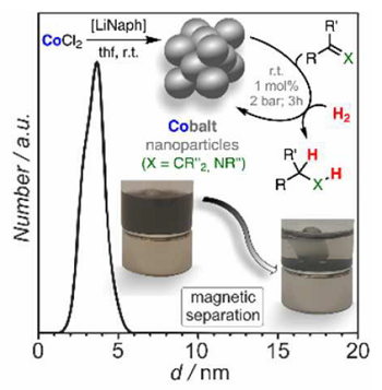 Efrain Cobalt Hydrogenations