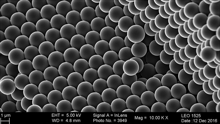 seeded polymerization