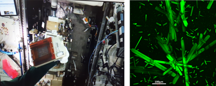 Photos made on board of the International Space Station ISS, © UHH/AG-Betzel Photos made on board of the International Space Station ISS, flight cassette and protein crystals in capillaries