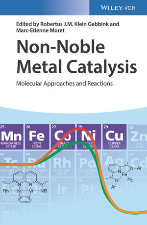 non-noble-metal-catalysis