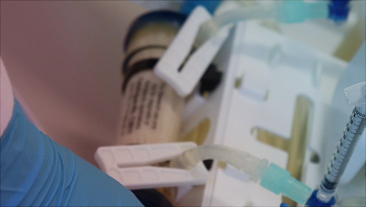 In vitro infection model