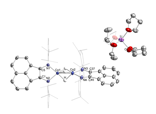 sebastian-cobalt-acs-catalysis