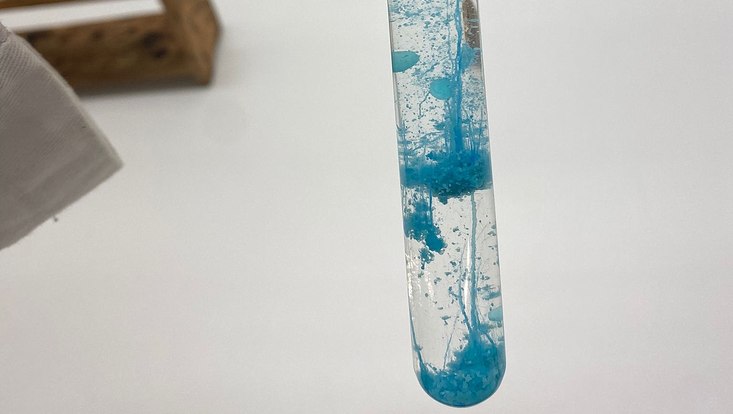 ac-praktikum-2023-1-733x414 Zu sehen ist ein Reagenzglas mit blauem Chemiegarten.