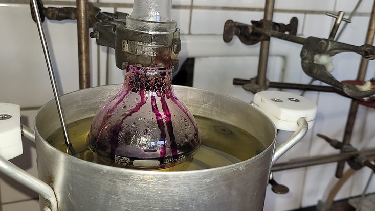 oc-praktikum-2023-1-733x414 Ölbad mit Einhalskolben, violette Flüssigkeit im Kolben