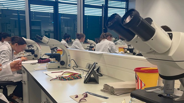 biogenetik-wise-22-23-12-733x414 Eine Gruppe von Studierenden mikroskopiert Zwiebeln.