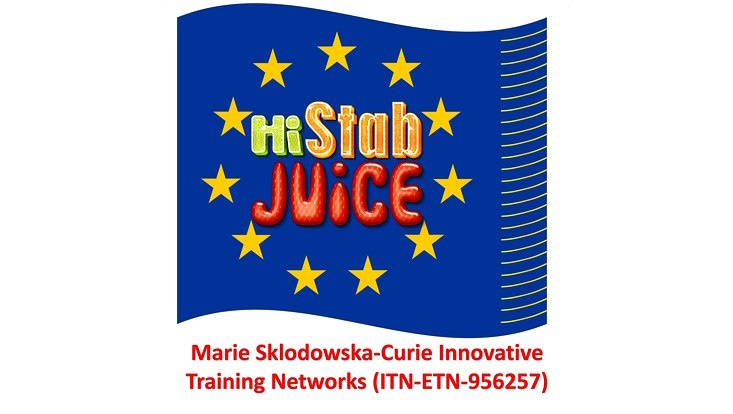 Logo Projekt HiStabJuice, die Schrift mit dem Muster von jeweils Limette, Orange und Erdbeere