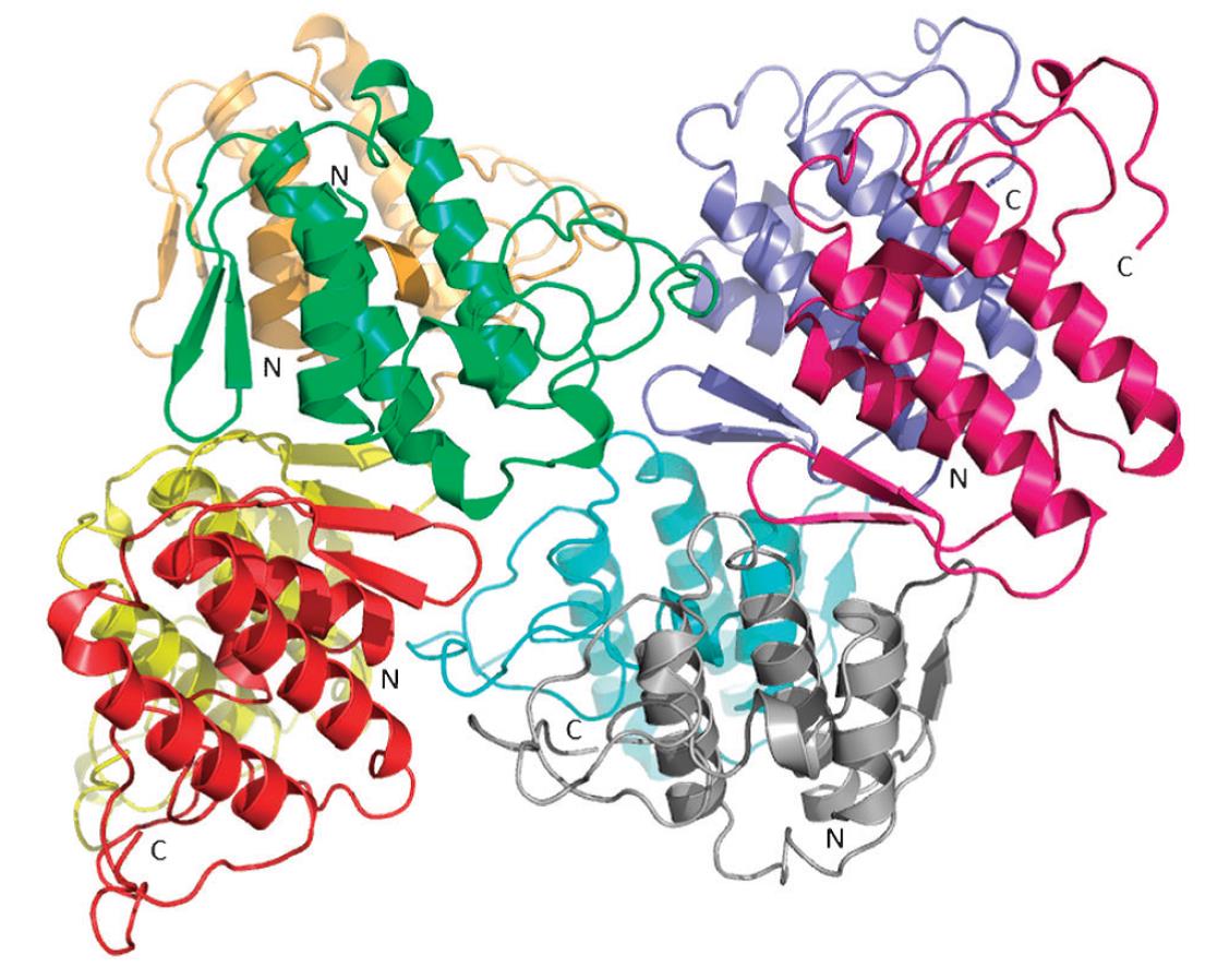Three-dimensional structure of a Vipera ammodytes meridionalis PLA-like myotoxin, © UHH/AG-Betzel Three-dimensional structure of a Vipera ammodytes meridionalis PLA-like myotoxin, © UHH/AG-Betzel