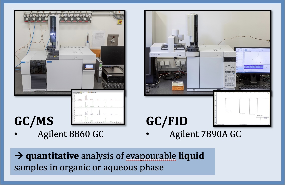 GC/MS and GC/FID